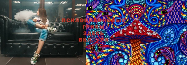 метадон Богданович