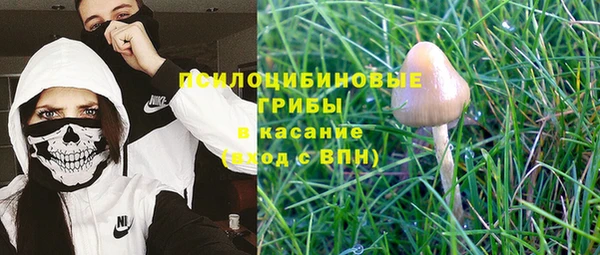соль курить ск Богородск