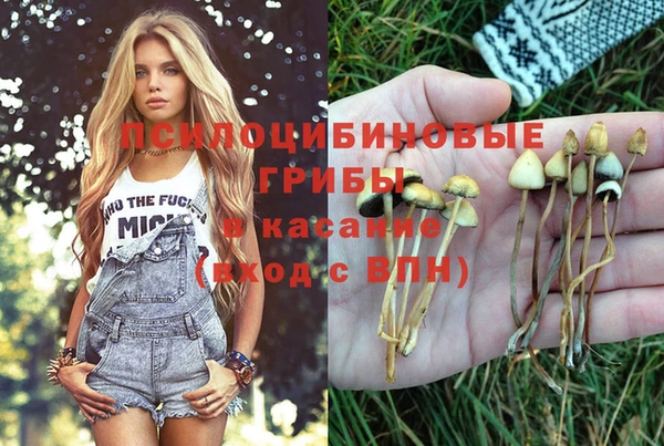 метадон Богданович