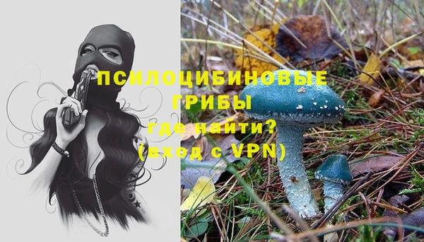 гидропоника Бронницы