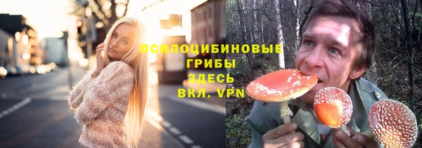 метадон Богданович