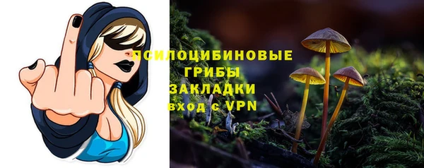 а пвп мука Бородино